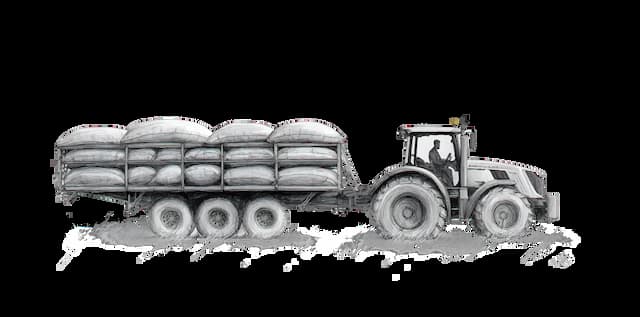 Flora Left Border Decoration