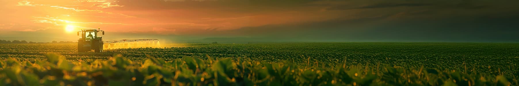 Green hills landscape