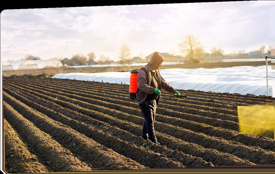 Flora Fertichem - Card 2