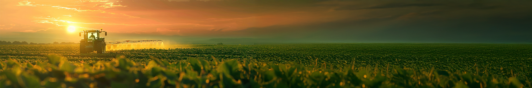 Green hills landscape