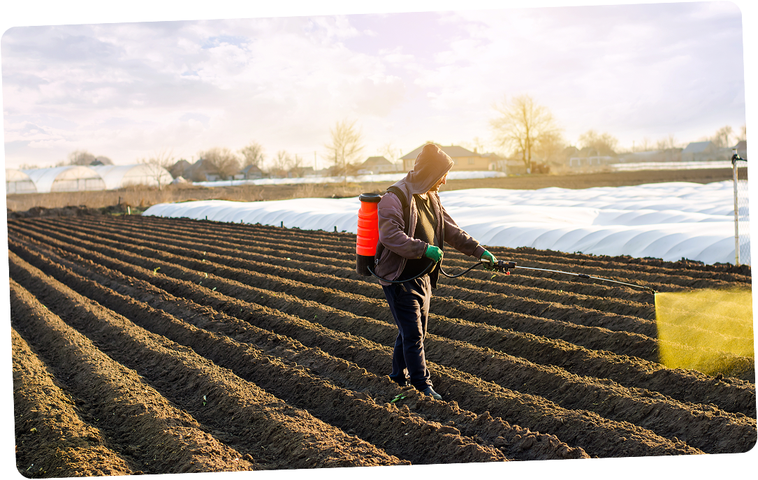 Flora Fertichem - Card 2