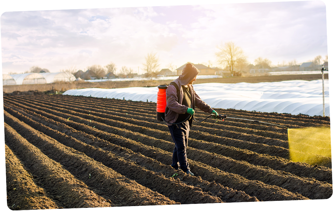 Flora Fertichem - Card 2