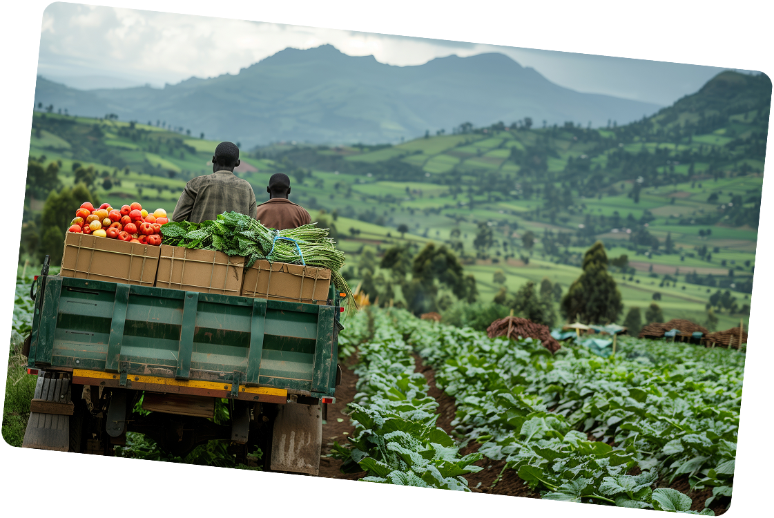 Flora Fertichem - Card 3