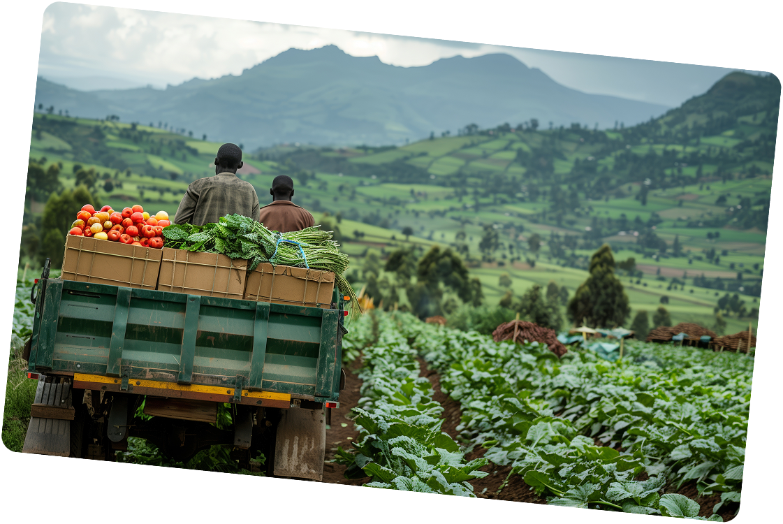 Flora Fertichem - Card 3